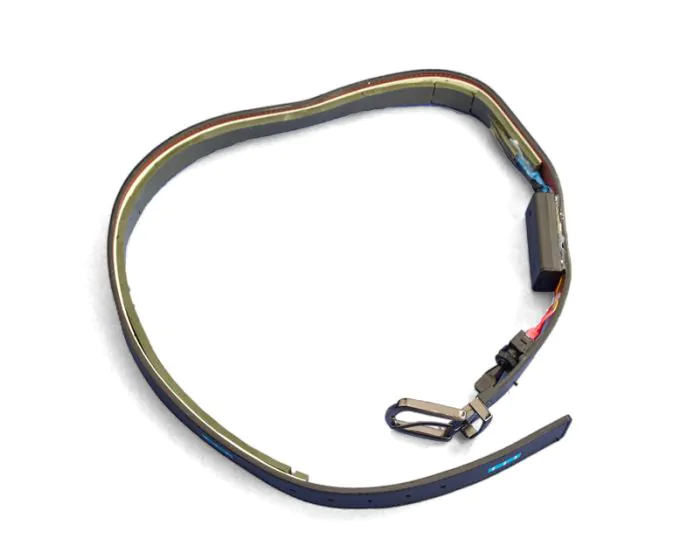 Inert Belt IED | DSA Detection Part Number CED0022