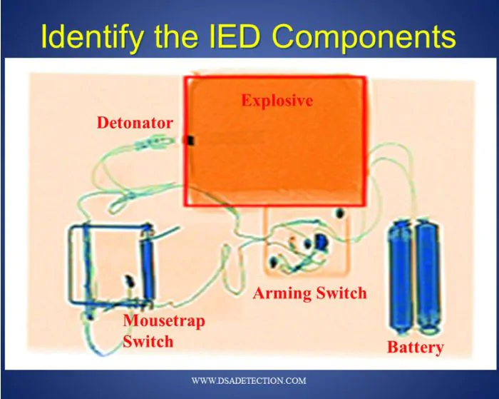 X-ray Interpretation Train-the-Trainer Course