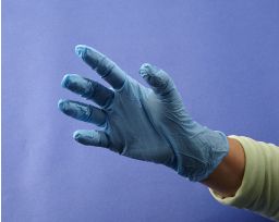 Small Latex Gloves | DSA Detection CNG2091