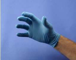 Large Latex Gloves | DSA Detection CNG2093
